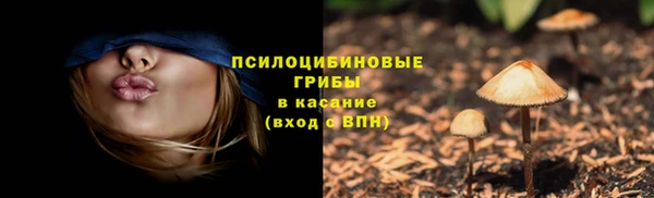 прущий лед Богородск