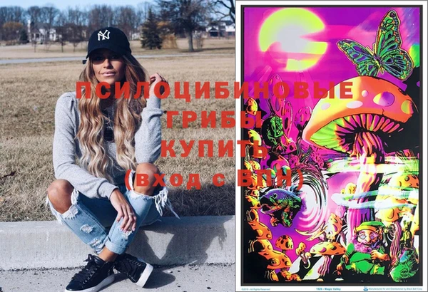 прущий лед Богородск